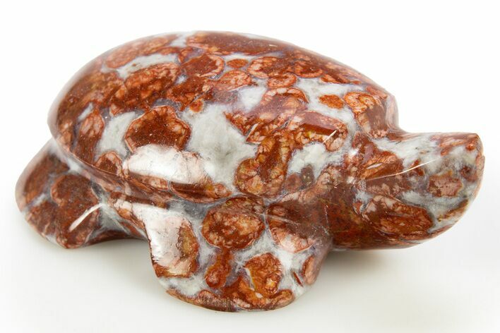 Polished Red Flower Marble Turtle - India #311889